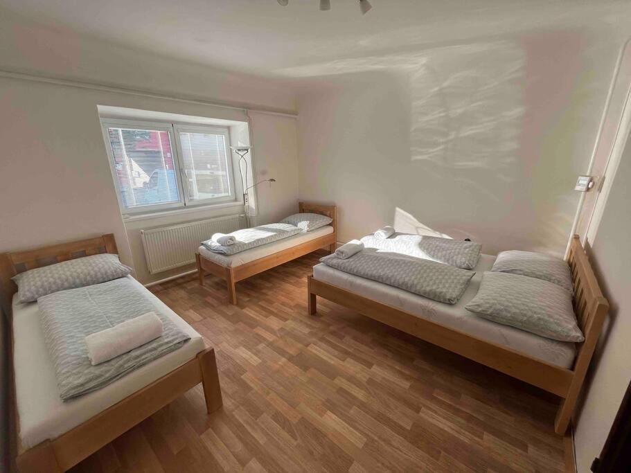 Mikulovska Chalupa Se Sklepem Buitenkant foto